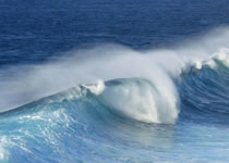 Lösungen (er)finden ist wie das Surfen auf der Welle